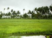 Experience Tripraja River Rafting During Monsoon