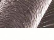 DIY-Frizzy Hair Remedies