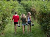 Family Outing: Berry-picking Etiquette B.C.’s Summer Bounty