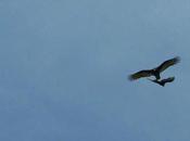 Learning When Stay Separate