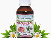 Nirgundi Planet Ayurveda