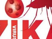 Zika Virus Mosquito Measles Symptoms Treatment
