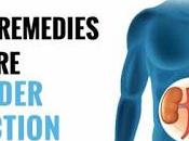 Bladder Infection Treatment Home Remedies Cure