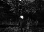 Sunday Conversation With Blurton Blurton's Future