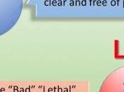 HDL: Good Cholesterol [2019]