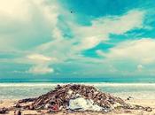 Various Sources Incredible Solutions Soil Pollution