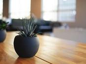 Plants That Fight Indoor Pollution: Transform Ornamental Greenery Into Sustainable Bio-Purifiers