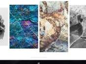 Features That Every Church Website Must Absolutely Have