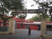 Google Celebrates Muthulakshmi with Doodle