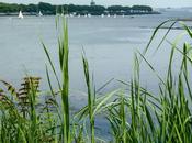 Urban Pastoral, Three Views