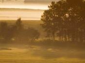 Farmers Look Capture Carbon Warnings Climate Shocks Grow Louder