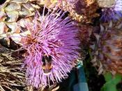 Dropping Tennyson (again) (properly This Time)