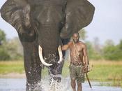 Botswana Decides Allow Game Hunting