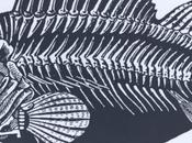 This Don't EVER Meat Spit Bones