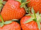 Sponsored Post: Planting Strawberries Next Year