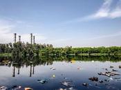 Effects Wastewater Environment