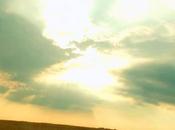 "You're Arrogant Think That...!"