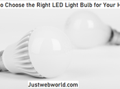 Choose Right Light Bulb Your Home