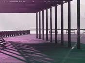 Friday Fotos: Experiments Purple