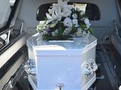 Green When Dead Eco-friendly Funeral Ideas