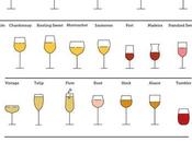 Choose Correct Wine Glass