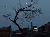 Chandrayaan Vikram Lander NDTV Journalist Scientist