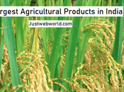 Largest Agricultural Products India