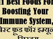 Best Foods Boosting Your Immune System, बेस्ट इम्यून सिस्टम