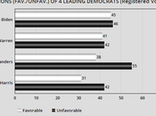 Public's Opinion Four Leading Democrats