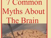 Common Myths Facts About Brain, जाने दिमाग सच्ची बाते