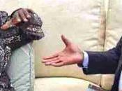 Xenophobia: Obasanjo Reveals Expected Outcome Buhari’s Meeting With Ramaphosa