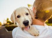 Behaviors Like Aggression Fearfulness Linked Breed Genetics- Finds Study