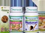 Herbal Remedies Increase Breast Size