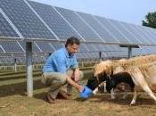 Solar Farm Powers Homes