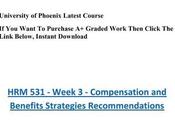 Typical Mistakes Writing Academized College University Essays