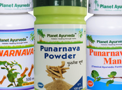 Best Safe Alternative Dytor