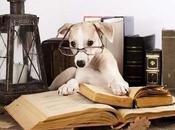 Best Free Reverse Phone Lookups Track Unknown Callers