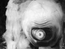 Days Terror!: Came from Outer Space