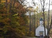 More Fall Color Last Homegrown Tomato Sandwich