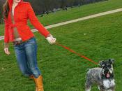 Hand Leash Makes Taking Fido Walkies More Human Experience