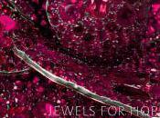 “Jewels Hope” Sets Records Helps Charities