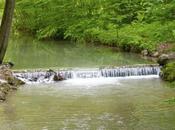 English Garden: Munich’s Playground Sanctuary