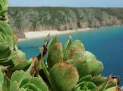 Drama Minack Theatre