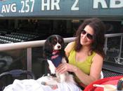 Puppypalooza Progressive Field Brings Dogs Ballpark