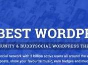 Welcome,Brndle Themes. Collection Blogging Multipurpose WordPress Themes