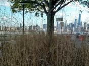 From Yesterday's Shoot