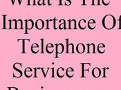 What Importance Telephone Service Businessman