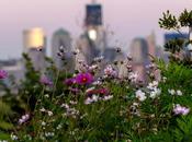 Hallucinated City: Manhattan Vertical