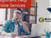 Learn Features Online Assignment Help Services