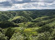 Meghalaya's Hour Glory